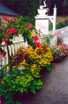 flowers